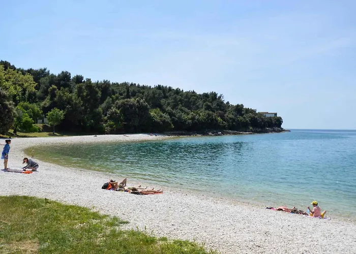 Διαμέρισμα 11 Πούλα